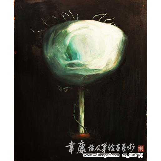 韦康